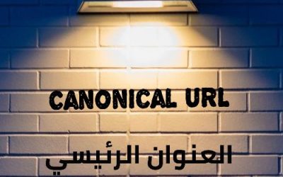 العنوان الرئيسي Canonical URL